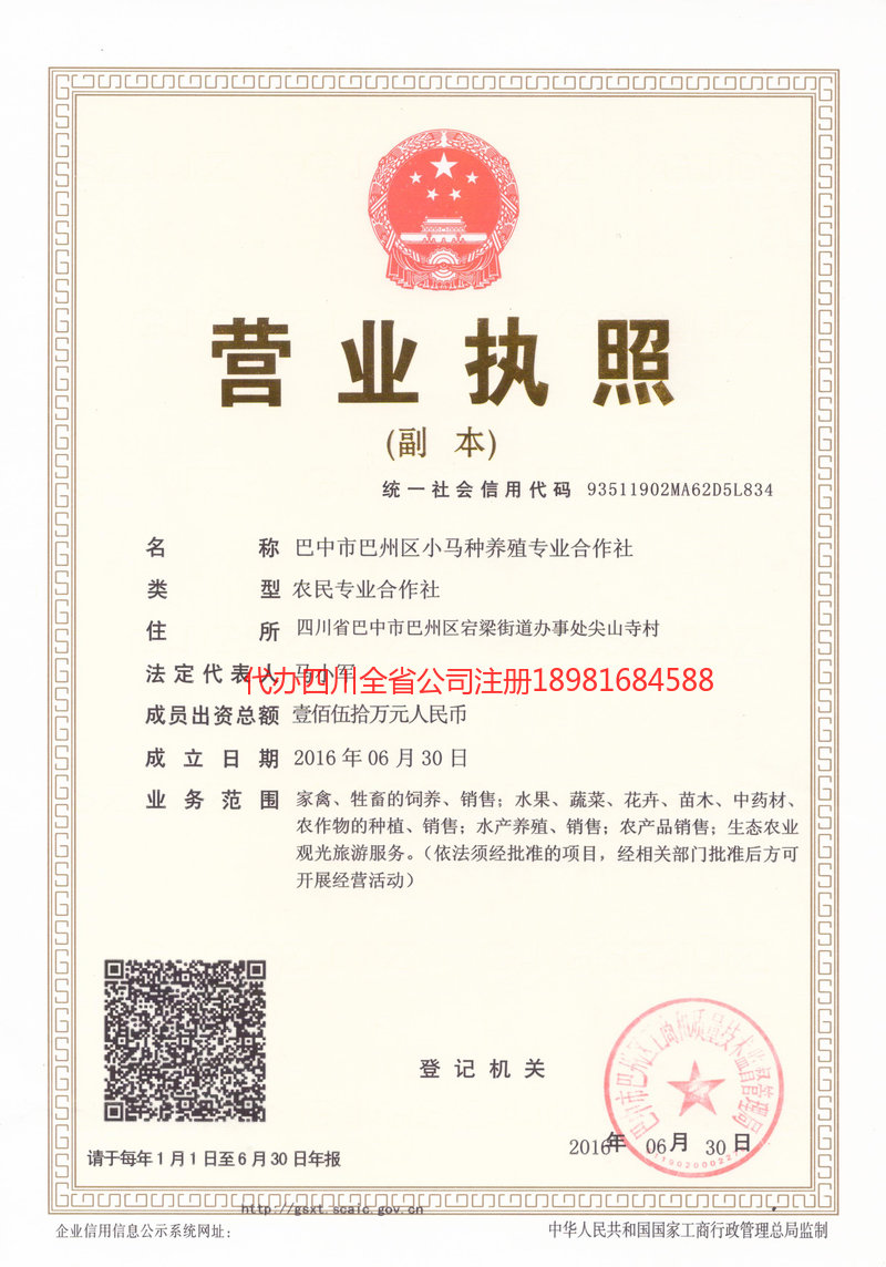 营山营山小马种养殖专业合作社